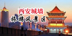 美女啊啊肏中国陕西-西安城墙旅游风景区