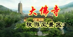 男人将鸡巴插入女人逼里的视频免费高清中国浙江-新昌大佛寺旅游风景区